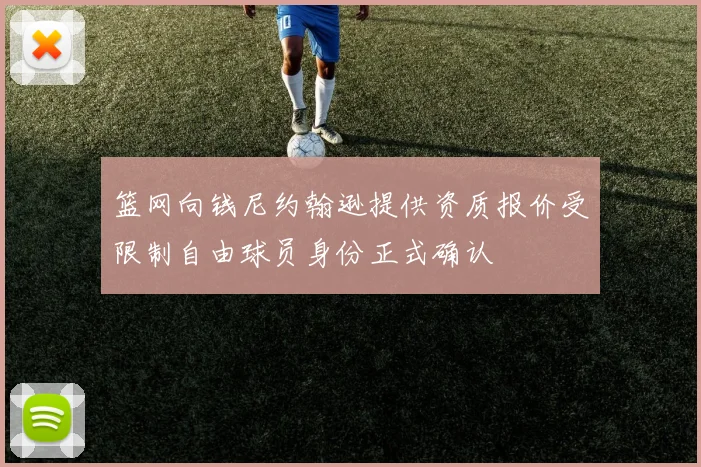 篮网向钱尼约翰逊提供资质报价受限制自由球员身份正式确认